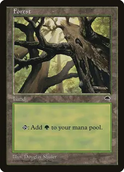 Lot of 20x Forest #347 - TMP Tempest Basic Land MTG Magic PL - Image 1