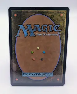 Overgrown Tomb - Magic The Gathering, NM, ECL-266 - Image 2