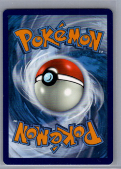 Raboot SV016/SV122 - Pokemon TCG Shining Fates Sword Shield Shiny Rare Card NM - Image 2