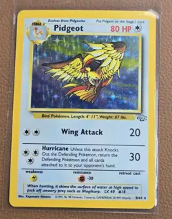 Pidgeot - 8/64 - Holo - VINTAGE - Jungle - Pokemon TCG Card WoTC - Image 1
