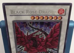 Black Rose Dragon CT05-EN003 2008 Collectors Tin Limited Edition NM/LP - Image 2