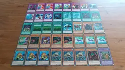 Yu-Gi-Oh Frosch / Frog Deck - 40 Karten - Sammlung - Image 1