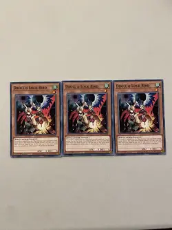 Yugioh 3x Droll & Lock Bird L5DD-ENC04 Common 1st Edition NM - Image 1