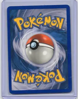 Pokemon Card - Mudkip - 11/17 - POP Series 4 - 2006 - Image 2