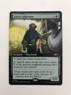 Arbor Adherent Extended Borderless MTG Magic the Gathering Card NM Near Mint TDC - Image 1