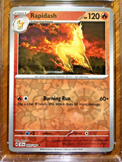 Rapidash Reverse Holo Uncommon #020 - CGC GEM MINT 10 - Stellar Crown - Pokemon - Image 2
