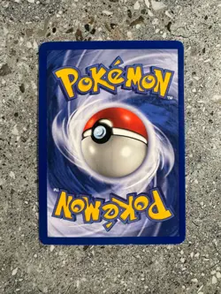 Pokemon TCG Cards Pinsir 9/64 Jungle Holo Rare EXC-NM - Image 2