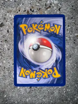 Pokemon TCG Cards Pinsir 9/64 Jungle Holo Rare EXC-NM - Image 5