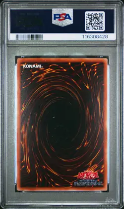 2023 YU-GI-OH! JPN QCDB-QUARTER CENTURY DUELIST BOX DARK MAGICIAN GIRL PSA 10 - Image 2