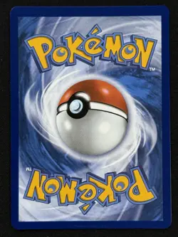 Pokemon Mega Charizard X ex 023 ME: Phantasmal Flames UPC Black Star Promo NM - Image 5