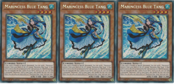 3X CHIM-EN004 Marincess Blue Tang - Secret Rare 1st Edition Cards Yugioh Mint - Image 1