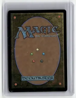 2024 MTG - Duskmourn: House of Horror - Walk-In Closet // Forgotten Cellar - Image 2