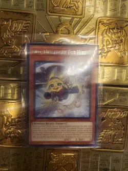 Yugioh Filo, Messenger Fur Hire DANE-EN015 Rare 1st Ed NM - Image 1