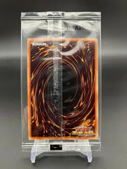 Yu-Gi-Oh! Rush Duel DONPEN & DONKO RD/DON1-JP001 Promo Limited Card JAPAN - Image 3