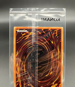 Yu-Gi-Oh! Rush Duel DONPEN & DONKO RD/DON1-JP001 Promo Limited Card JAPAN - Image 4