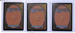 (3) Lot 2022 Magic The Gathering Kamigawa Neon Dynasty Forest Full Art JP #301 - Image 2
