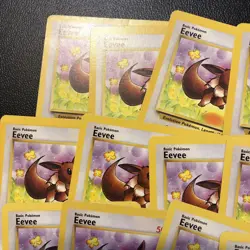 Eevee 51/64 Jungle Set (x12) Pokemon Cards Twelve Cards All NM Condition. - Image 5