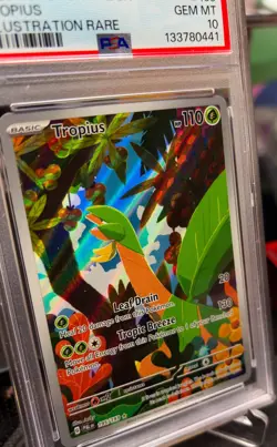 PSA 10 Tropius 195/193 Illustration Rare Paldea Evolved SV02 Pokemon Card - Image 4