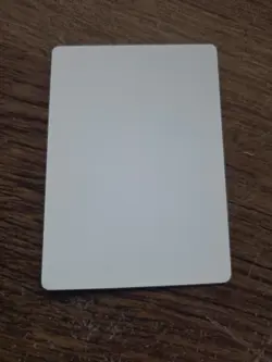 Lady Orca Sandra Everingham ARTIST PROOF Legends Set Magic the Gathering - Image 2