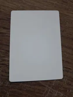 Petra Sphinx Sandra Everingham ARTIST PROOF Legends Set Magic the Gathering - Image 2