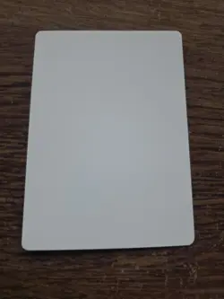 Hell's Caretaker Sandra Everingham ARTIST PROOF Legends Set Magic the Gathering - Image 2