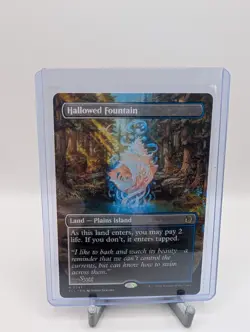 Hallowed Fountain #347 (Borderless) Lorwyn Eclipsed Magic the Gathering - Image 1