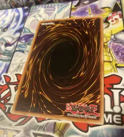 Insect Queen - DPBC-EN026 - 1st Edition - NM - YuGiOh! - Image 2