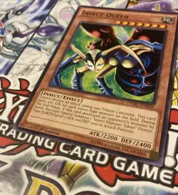 Insect Queen - DPBC-EN026 - 1st Edition - NM - YuGiOh! - Image 4