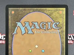 MTG JAPANESE Faerie Macabre -Signed - Shadowmoor Magic the Gathering Card # 66 - Image 5