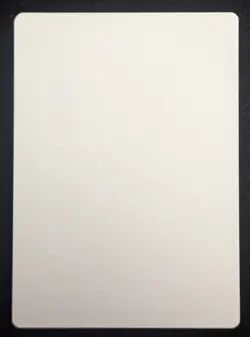 MTG Steelburr Champion- Signed Artist Proof -Bloomburrow Commander Magic Card - Image 2