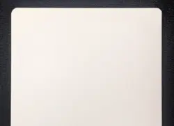 MTG Steelburr Champion- Signed Artist Proof -Bloomburrow Commander Magic Card - Image 5