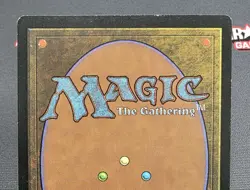 MTG Swamp (Blue) (Japan) - Signed -APAC Land Promo Magic the Gathering Card - Image 5