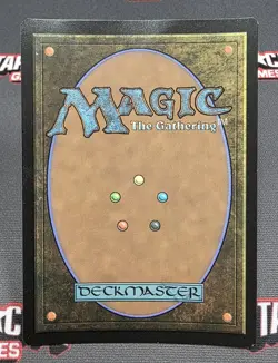 MTG FOIL Blanka, Ferocious Friend - DAMAGED - Secret Lair Magic Card # 431 - Image 2