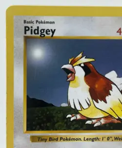 Pidgey 57/102 Base Set Shadowless Regular Basic Common 40 HP Pokemon TCG Card - Image 3