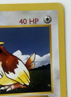 Pidgey 57/102 Base Set Shadowless Regular Basic Common 40 HP Pokemon TCG Card - Image 4