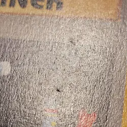 Pokemon Item Finder 74/102 Base Set Regular Lightly Played *FREE SHIPPING* - Image 4