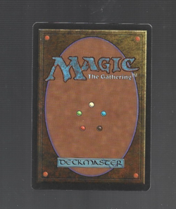 1x MTG Soldevi Excavations (ALL) Alliances - 1996 NM LP - Image 2