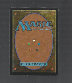 MTG Adarkar Wastes - Ice Age #351 Clean--Mint/LP - Image 2