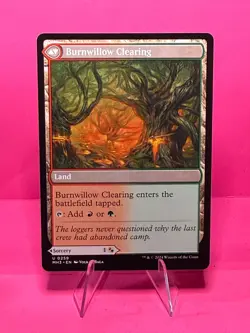 Stump Stomp Modern Horizons 3 Regular - Image 2