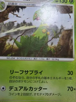 HP/DMG Sceptile 004/017 Arceus Lv.X Deck: Grass & Fire Japanese Pokemon Card - Image 4