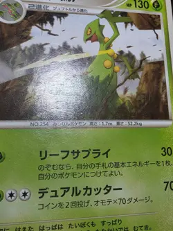 HP/DMG Sceptile 004/017 Arceus Lv.X Deck: Grass & Fire Japanese Pokemon Card - Image 5