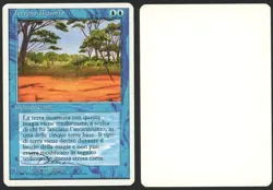 ***Italian Phantasmal Terrain Artist Proof Signed MTG Revised Dameon Willich - Image 1