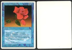 ***Italian Mana Short Artist Proof Signed*** MTG Revised Dameon Willich - Image 1