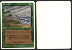 ***Italian Hurricane Artist Proof Signed*** MTG Revised Dameon Willich - Image 1