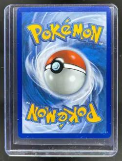 2025 Pokemon Phantasmal Flames PFL EN Mega Charizard X ex Ultra Rare #109/094 - Image 2
