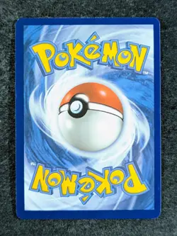 2024 Pokemon Pikachu 088 Black Star Promo SVP EN Adventure Chest Holo Rare - Image 2
