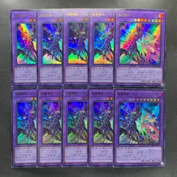 NM 10 card The Dark Magicians QCDB-JP033 Ultra Rare 25th Duelist Box YuGiOh 1800 - Image 1
