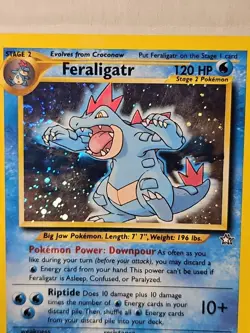 Pokemon TCG Holographic Feraligatr Card 5/111 HP - Image 2
