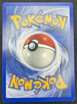Teddiursa 65/75 Common - 1st Edition Neo Discovery Pokemon Card - LP - Image 2