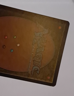 Foil LP Prophecy MTG Magic the Gathering - Image 5